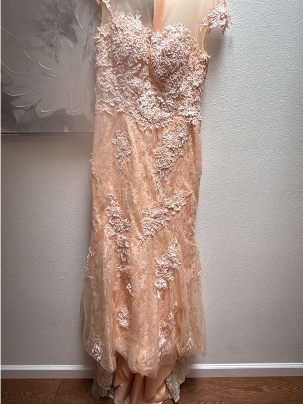 Blush Lace Appliqué Formal Gown
